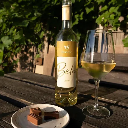 Semesterbostad Passero House