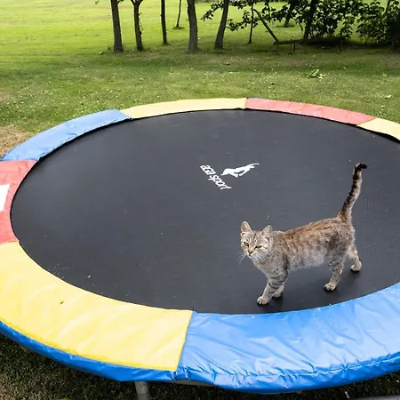 Semesterbostad Passero House Moravske-Toplice