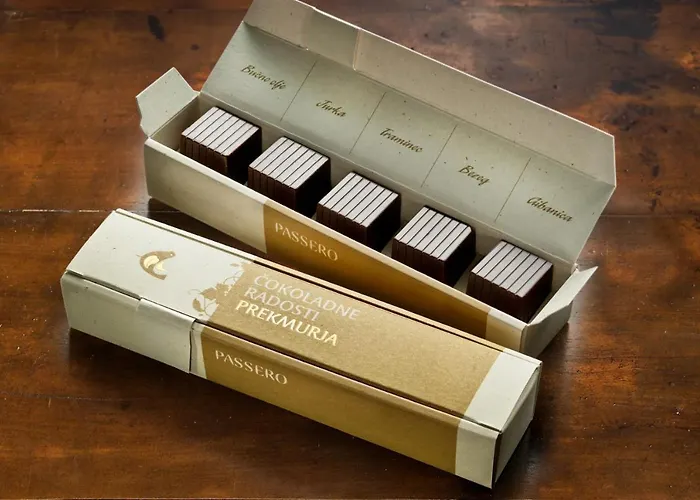 Casa vacanze Passero House Moravske Toplice