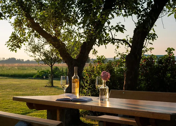 Casa vacanze Passero House Moravske Toplice