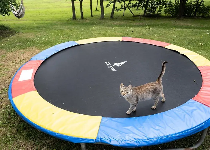 Casa vacanze Passero House Moravske Toplice